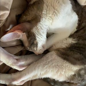 Meet your Posher, Donna